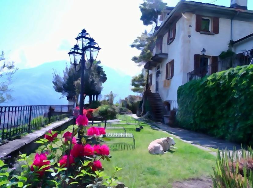 B&B Villa Moro - Family House Domodossola Exterior foto