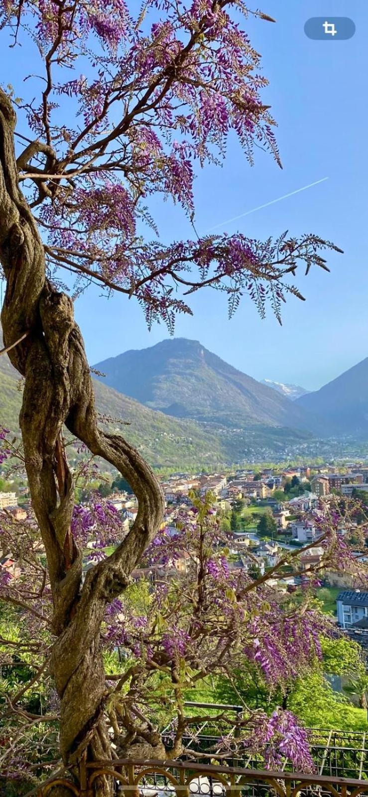 B&B Villa Moro - Family House Domodossola Exterior foto